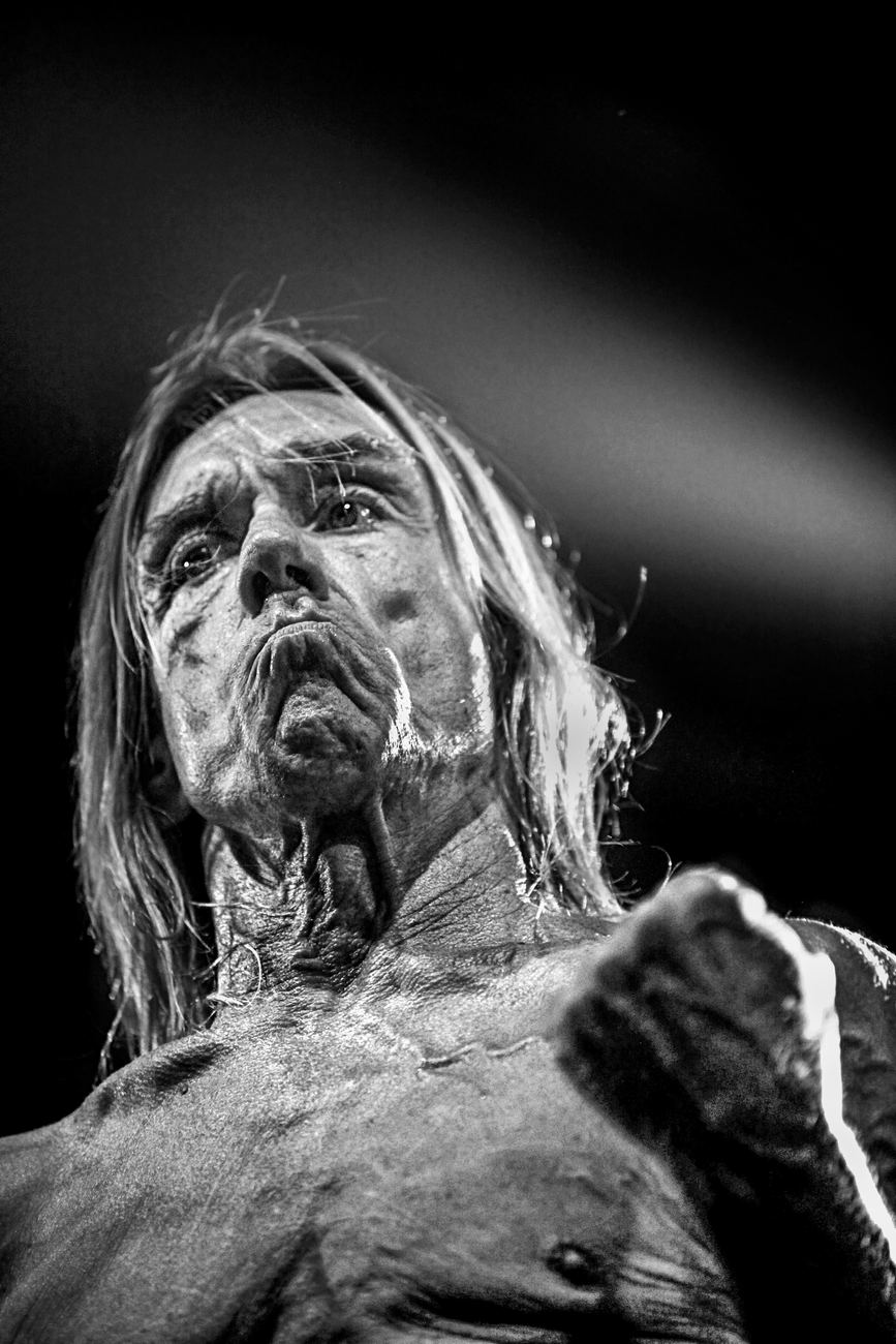  - Iggy Pop - Europe tour 2010 -  