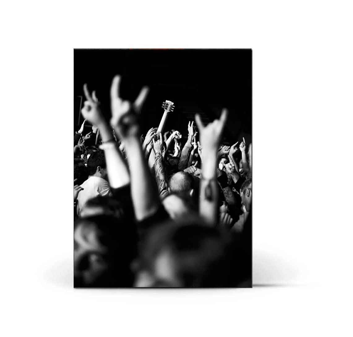 Mass Hysteria - Livre Failles tour