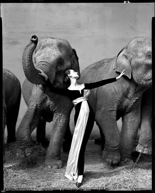 Richard Avedon Photos Richard Avedon Photos