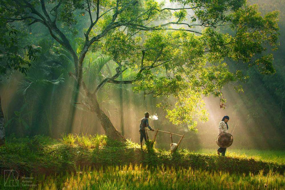 Rarindra Prakarsa photographe