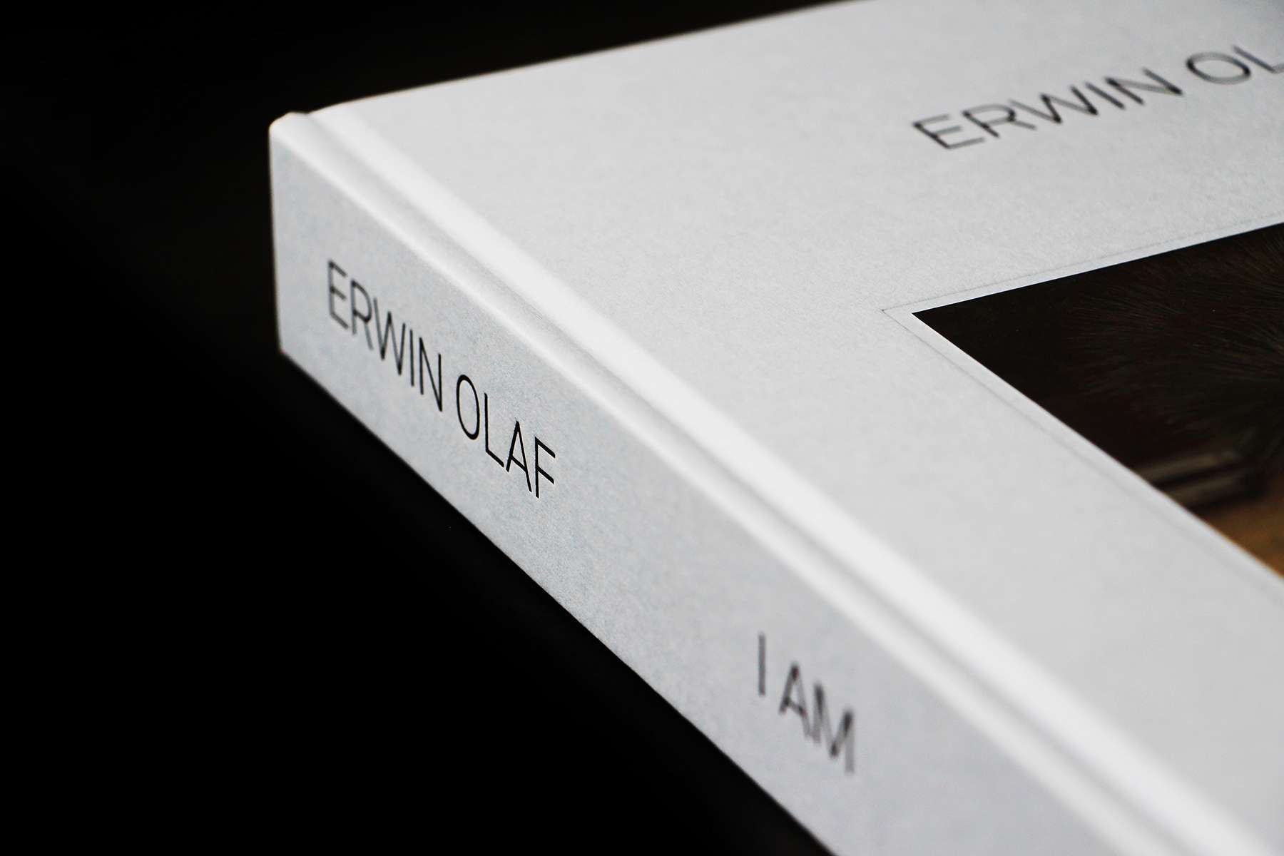 Photographe de concert 17 Erwin Olaf : I am 5 (4)
