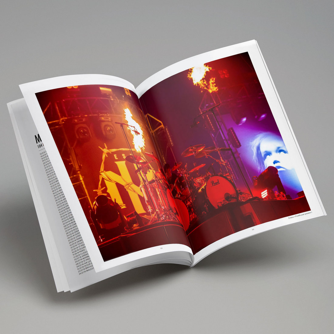 Livre Mass Hysteria 10 ans de Furia