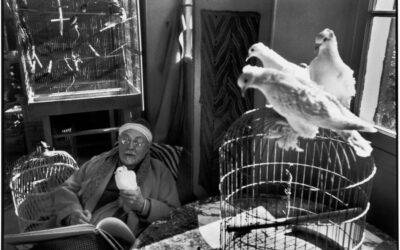 La Photographie d’Art : Techniques, Styles et Conseils pour Créer des Œuvres Exceptionnelles