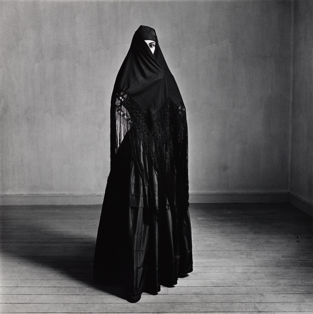 Irving PENN Photographe