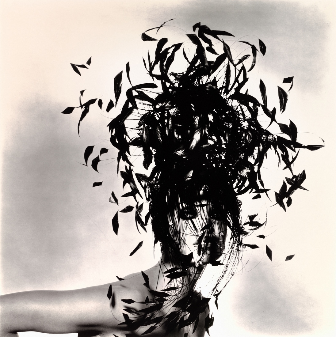 Irving PENN Photographe Irving PENN Photographe