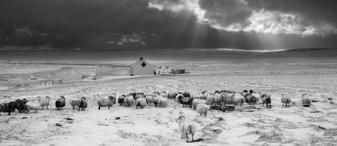 Photos noir et blanc : le guide en 7 points