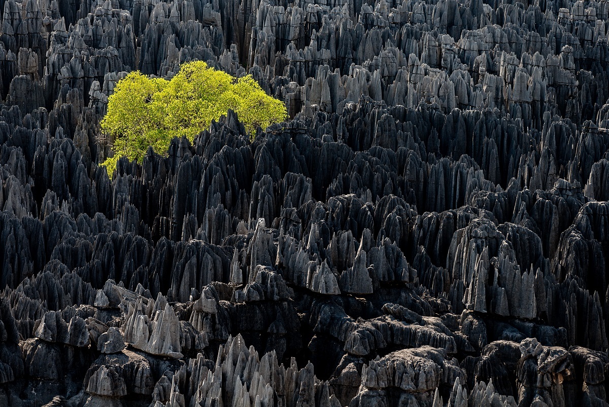 Yann Arthus-Bertrand Exposition Yann Arthus-Bertrand Exposition Legacy