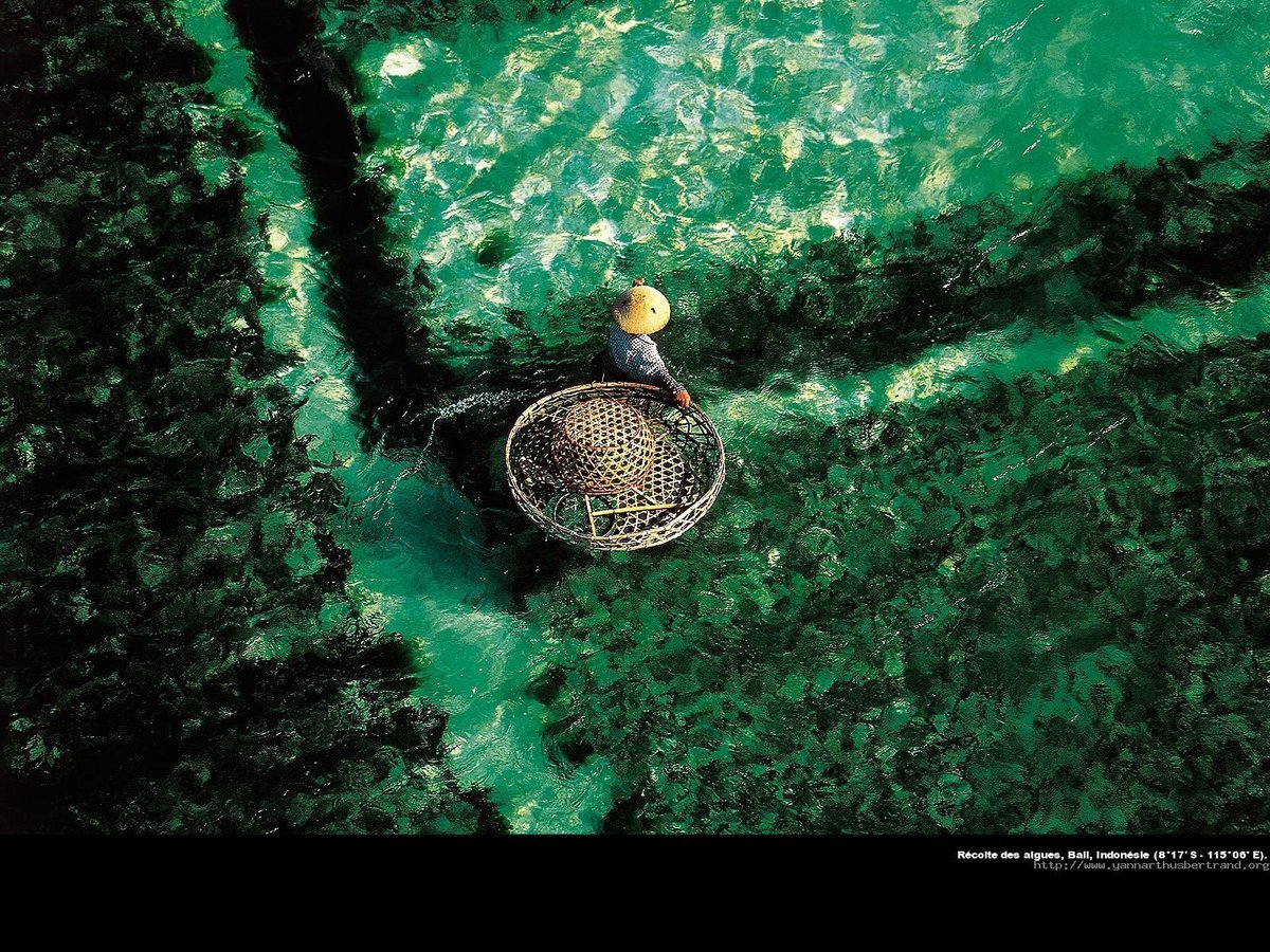 Yann Arthus-Bertrand Exposition Yann Arthus-Bertrand Exposition Legacy