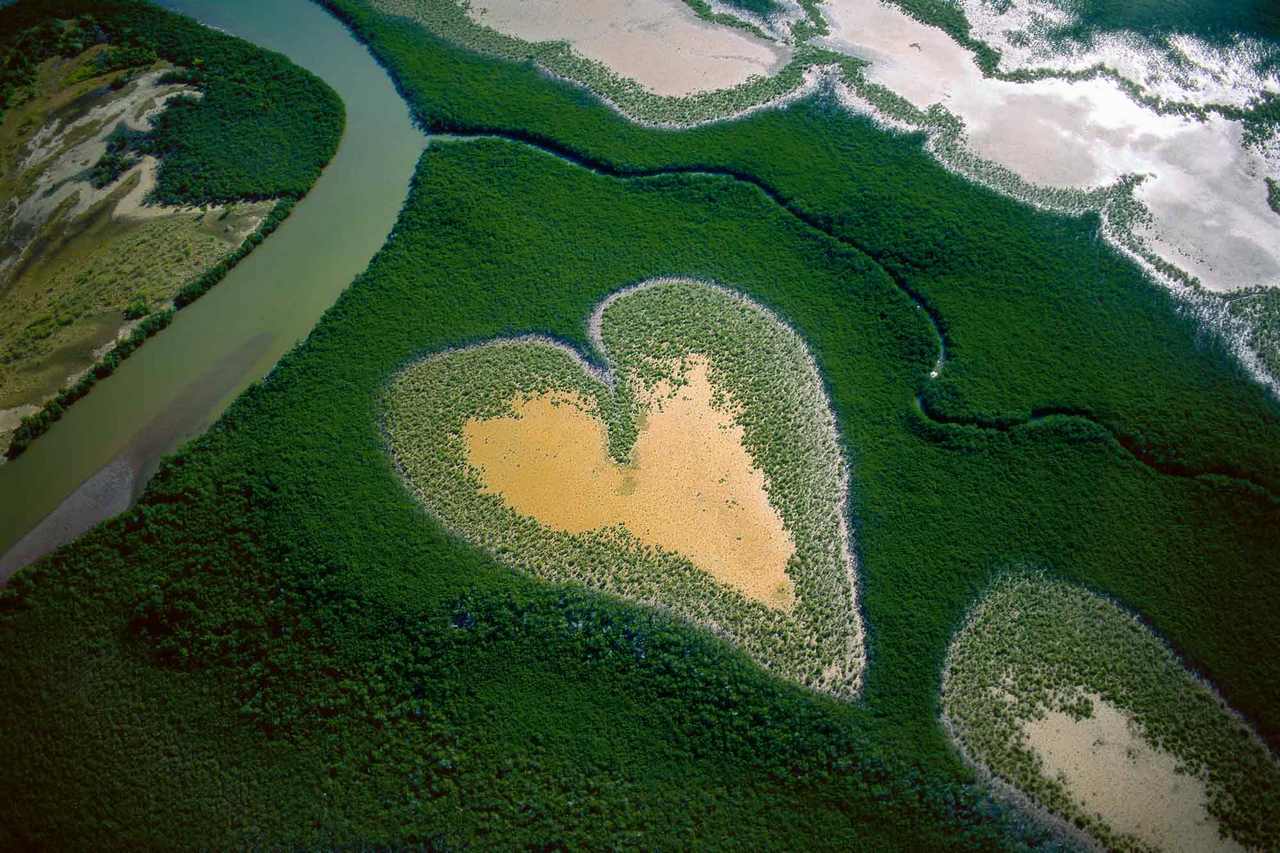 Yann Arthus-Bertrand Exposition Yann Arthus-Bertrand Exposition Legacy