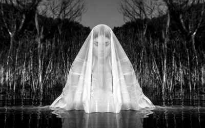 QU’EST-CE QUE LA PHOTOGRAPHIE ARTISTIQUE ?