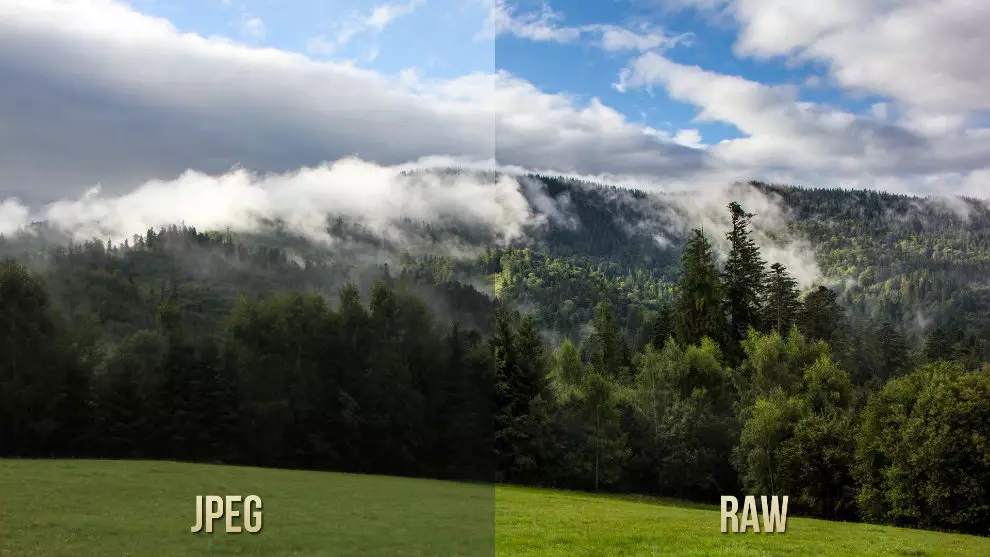 fichier RAW ou fichier JPEG ? fichier RAW ou fichier JPEG ?