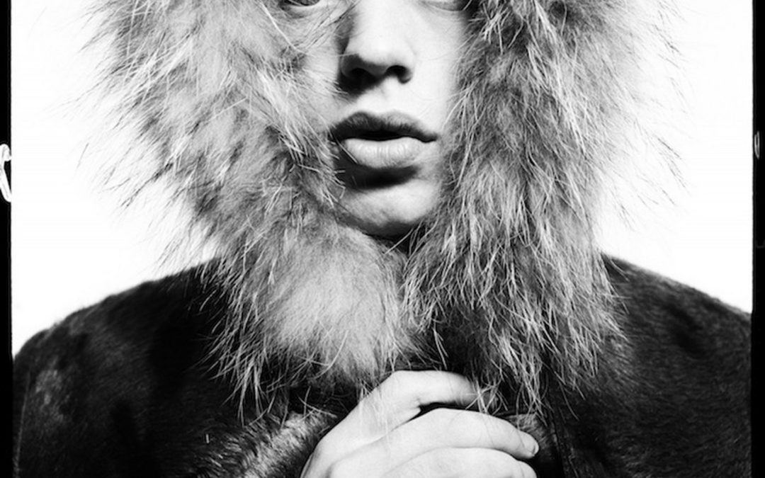 Photographe de concert David Bailey: Look again
