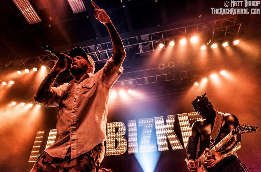 Photographie de concert : 7 conseils pour réussir