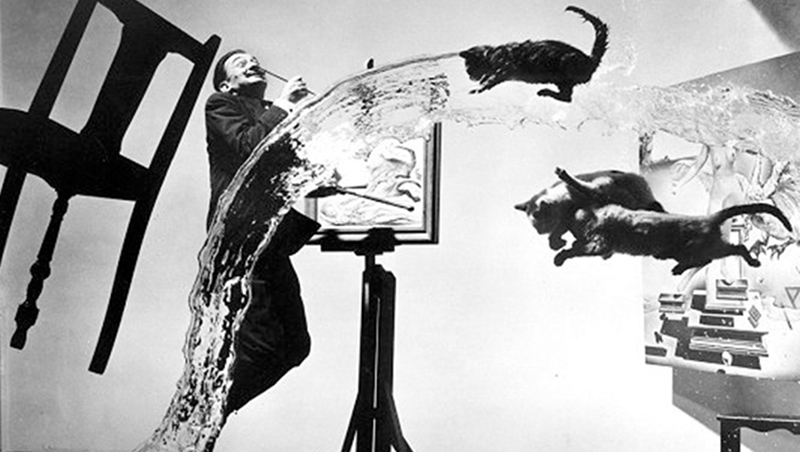Photographe célèbre : Les 25 meilleures photographies au monde Photographe célèbre