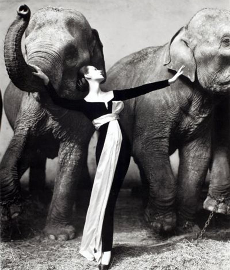 Photographe célèbre : Les 25 meilleures photographies au monde Photographe célèbre