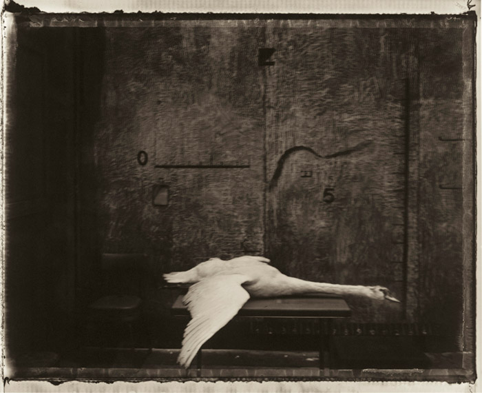 Sarah Moon photographe depuis 1970 Sarah Moon photographe
