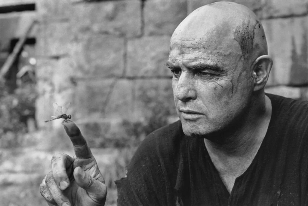 bRANDO