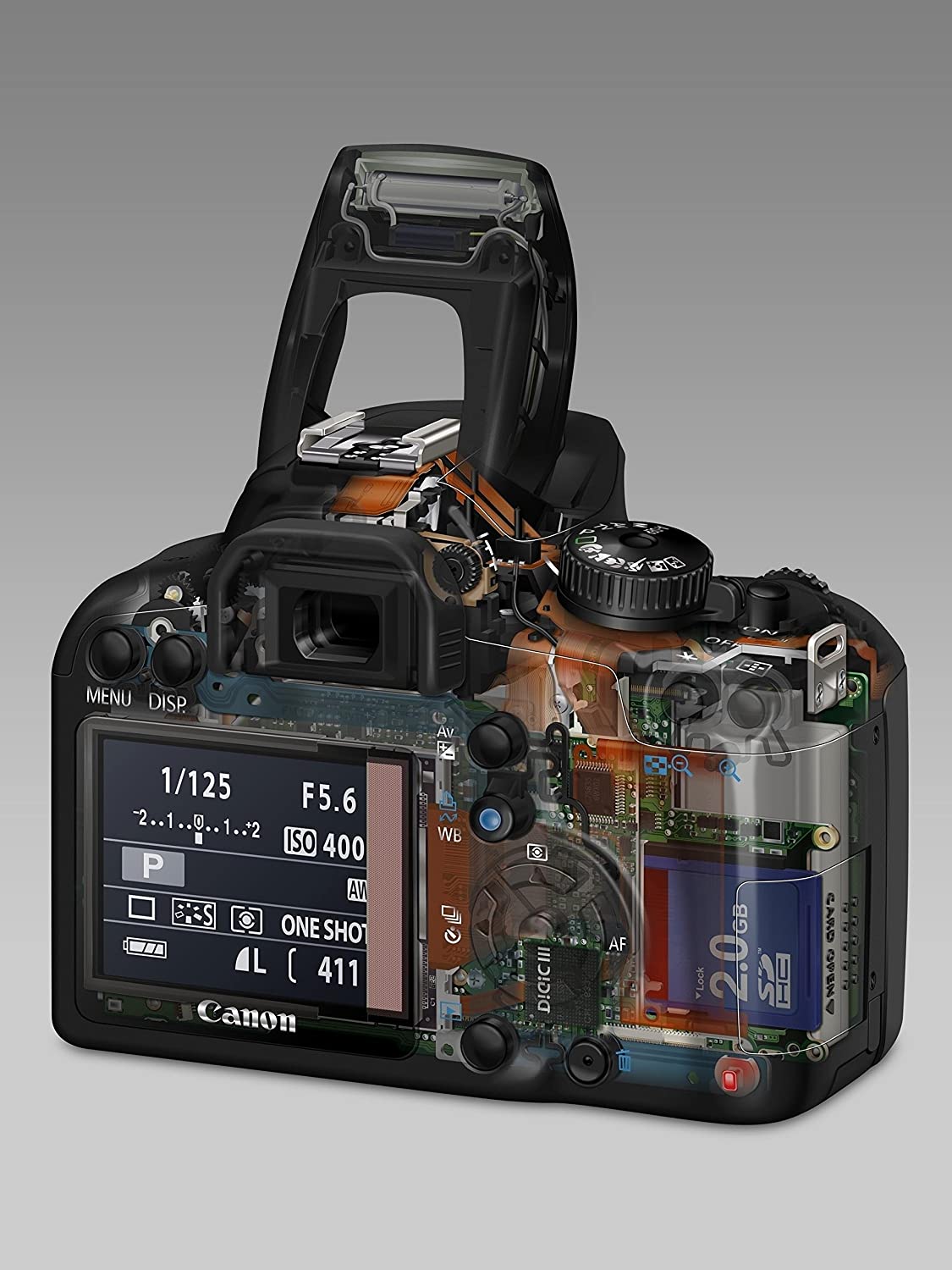 CANON EOS 1000D : l'appareil photo parfait pour la photographie de concert Canon EOS 1000D