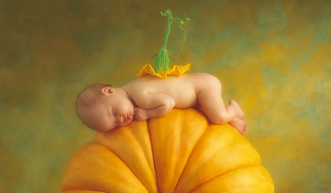 Anne Geddes: l’art de capturer la beauté de la vie en 5 points