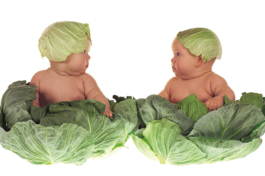 Anne Geddes