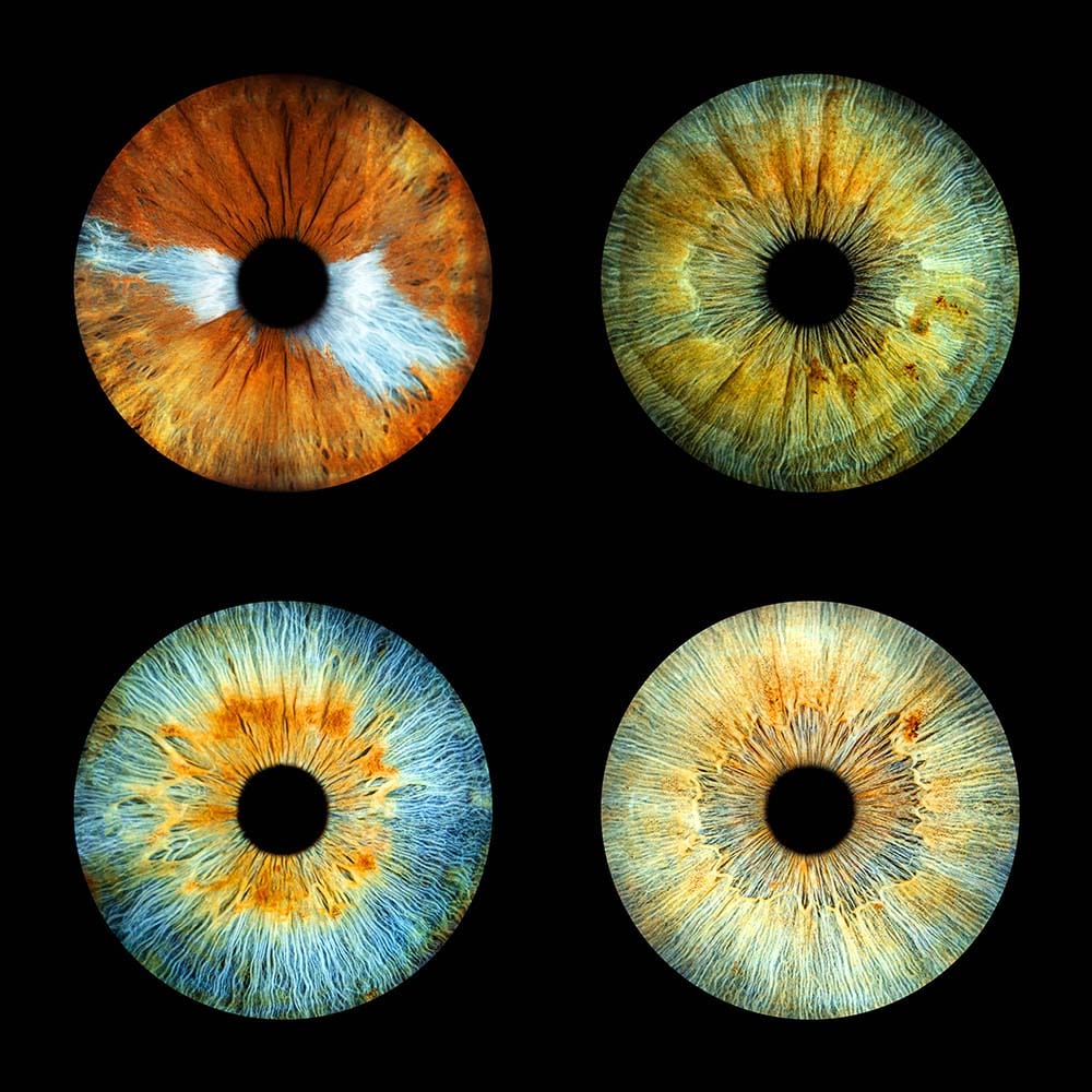 photo iris
