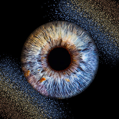 photo iris