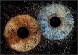 photo iris