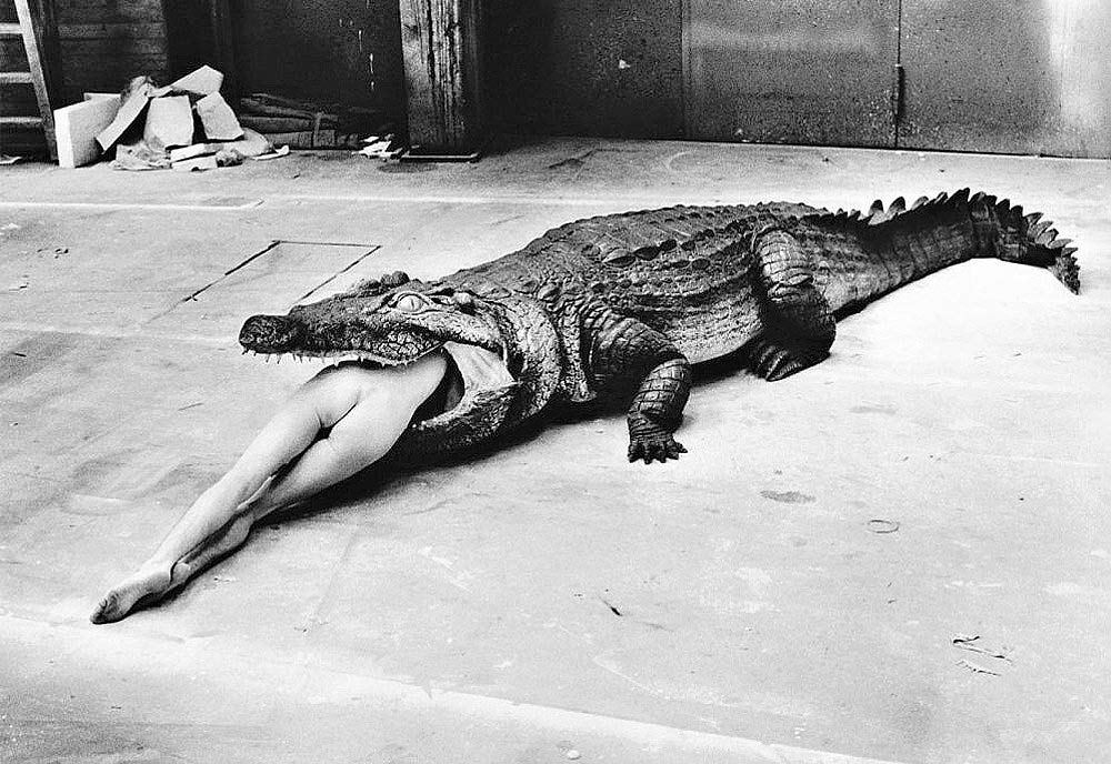 Helmut Newton photo Helmut Newton photo