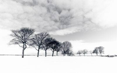 Conseils pour photographier paysages enneigés