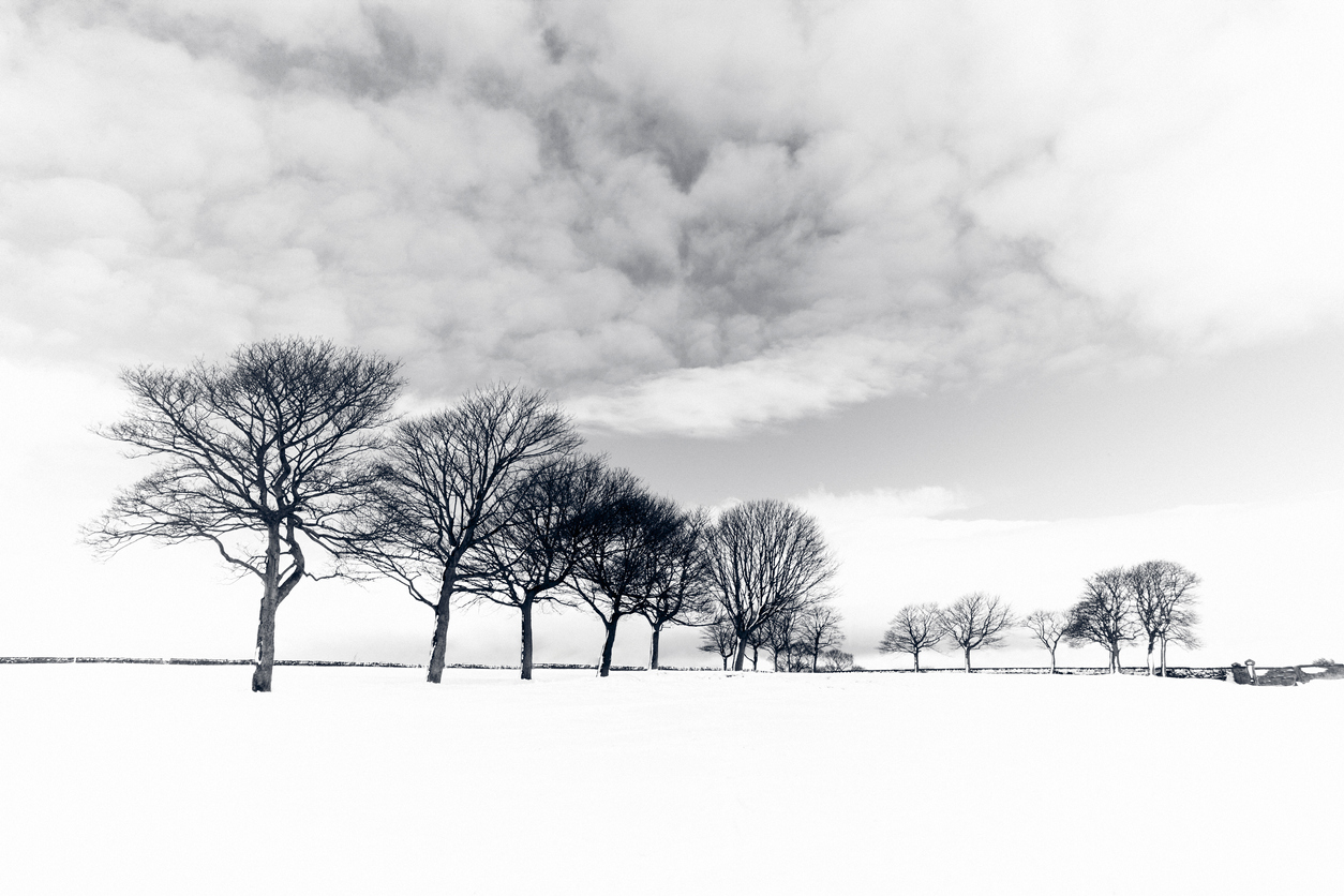 La Composition en Photographie