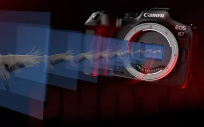 Canon R7 : Le choix idéal pour les photographes exigeants